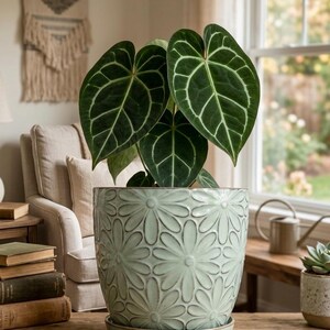 Maceta de cerámica verde menta de 18,8 cm con forma de margarita, platillo y orificio de drenaje / Maceta grande de 18 cm para plantas de interior y suculentas / Estilo bohemio moderno