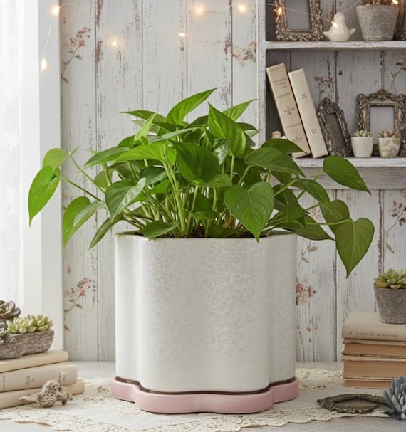 Shabby Chic Scalloped Ceramic Barrel Planter With Attached Saucer Shabby Chic Scalloped Ceramic Barrel Planter With Attached Saucer