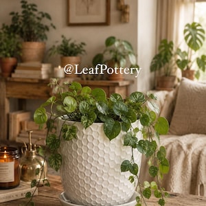 May include: A white ceramic plant pot with a textured honeycomb pattern and a matching saucer, containing a trailing green plant with variegated heart-shaped leaves. The text @LeafPottery is visible in the centre of the image.