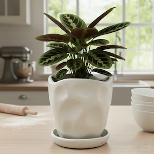 Modern White Barrel Ceramic Planter with Attached Saucer – 8 Inch Textured Decorative Flower Pot for Indoor/Outdoor Gardening