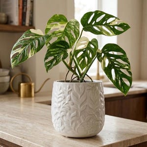 Vaso in ceramica a forma di foglia bianca con foro di drenaggio, vaso da fiori testurizzato da 12,7 cm, vaso per piante moderno in stile boho, vaso da interno unico per piante grasse