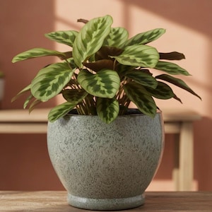 Large Green Ceramic Planter, 9" Handcrafted Round Clay Pot with Drainage, Made in Vietnam, Minimalist Textured Indoor Outdoor Flower Pot