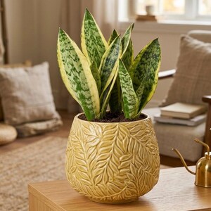 Vaso de cerâmica amarelo com folhas, 18 cm de diâmetro, com furo de drenagem, vaso de flores com relevo botânico, vaso boho para plantas de interior.