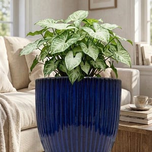 Cobalt Blue Ceramic Planter with Saucer, 7 Inch Rippled Pot with Drainage, Modern Boho Fluted Flower Pot, Indoor Plant Pot, Ceramic Planter