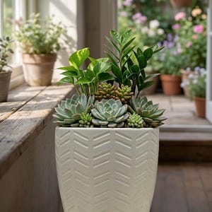Puede incluir: Una maceta de cerámica blanca con un patrón de chevrón, llena de una variedad de suculentas y otras plantas verdes. La maceta se asienta sobre un platillo a juego. El fondo muestra una ventana soleada y otras plantas en macetas.