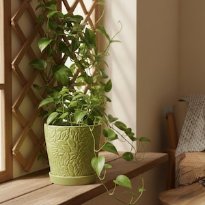 6.5" Green Ceramic Leaf Pattern Planter with Attached Saucer – Elegant Indoor/Outdoor Flower Pot with Drainage – Botanical Textured Pot