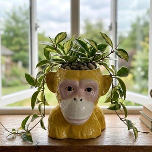 Quirky Plant Pots With Drainage - Etsy