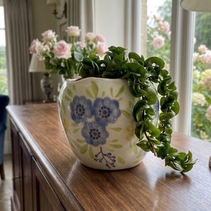 Peut inclure: Un cache-pot en céramique couleur crème orné d'un motif floral peint à la main avec des fleurs bleues, des feuilles vertes et des touches jaunes. Une plante Hoya carnosa compacta aux feuilles vertes foncées et torsadées retombe sur le côté.