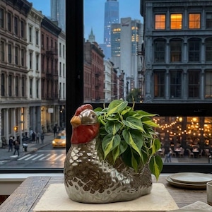 May include: A ceramic chicken-shaped planter with a metallic silver finish, a red comb, and a yellow beak. The planter holds a lush green and yellow variegated philodendron plant, creating a decorative piece that sits on a flat stone base.