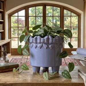 May include: A light purple ceramic planter with a scalloped rim featuring a repeating bow pattern. The cylindrical pot stands on three short, sturdy feet and contains a trailing green plant with variegated heart-shaped leaves.