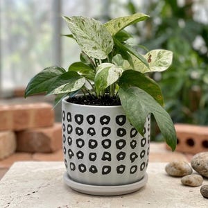 Modern Black and White Ceramic Planter with Saucer, 6 Inch Barrel Flower Pot with Drainage, Boho Polka Dot Indoor Outdoor Plant Pot