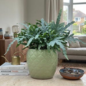 7" Handcrafted Green Glazed Ceramic Planter – 7-inch Pineapple Textured Round Pot with Drainage Hole, Made in Vietnam – Indoor/Outdoor Decor