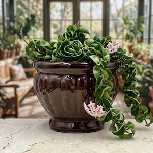 Glossy Brown Ceramic Barrel Planter with Drainage, 7-inch Round Indoor Outdoor Flower Pot, Made in Vietnam, Hand-Glazed Clay Succulent Pot