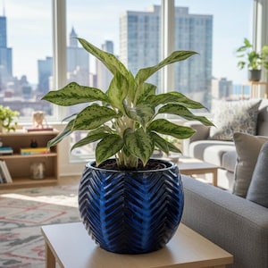 Handcrafted Blue Ceramic Bowl Planter - 8" Large Succulent & Indoor Plant Pot with Drainage - Hand-Glazed Clay Pottery Made in Vietnam