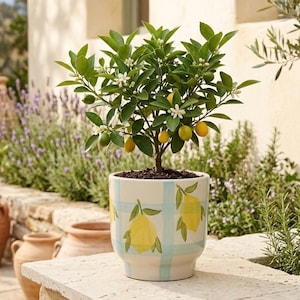 Vaso de cerâmica em formato de barril, com estampa xadrez azul e limão – 15 cm (6") – Decoração de primavera em estilo mediterrâneo – Sem furo de drenagem – 14 cm (5,5") de altura