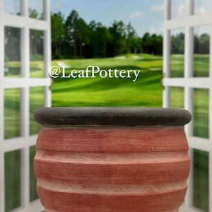 Red Carrot (MD) Clay Planter Pot/ Planters and Pots/ Birthday Gift/ Gift for her/ Gift for him/ Gift for Mom/ Plant Lovers