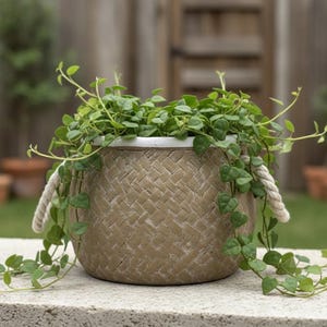 Boho Woven Texture Stone Bowl Planter - 5" Tan & White Rope Handle Decorative Pot for Succulents  Indoor Plants - Modern Farmhouse Garden