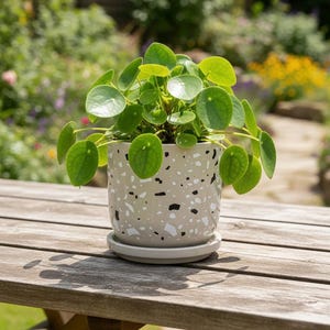 Modern Terrazzo Ceramic Barrel Planter with Attached Saucer – 4.5" Beige, Black & White Indoor/Outdoor Succulent Pot – Minimalist Home Decor