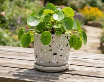 Modern Terrazzo Ceramic Barrel Planter with Attached Saucer – 4.5" Beige, Black & White Indoor/Outdoor Succulent Pot – Minimalist Home Decor