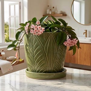 Unique 6 Inch Pot - Etsy
