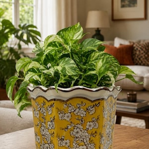 Maceta amarilla con forma de flor de cerezo con orificio de drenaje, maceta de cerámica de 18 cm, maceta decorativa estilo chinoiserie con bordes festoneados, maceta para plantas de interior Monstera.