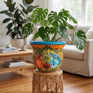 May include: A colourful, hand-painted ceramic plant pot with a blue rim and floral patterns, containing a lush Monstera plant. The pot rests on a woven wicker plant stand, creating a decorative indoor display.