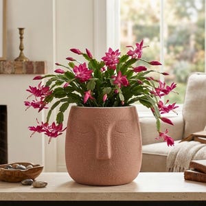 May include: A pink Christmas cactus in a textured, peach-colored face planter. The planter has a minimalist design with closed eyes and a nose. The plant is on a light-colored table, with a wooden bowl and books nearby.