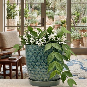 Op de afbeelding: Een teal keramische plantenpot met een geometrisch patroon, gevuld met een bloeiende plant. De plant heeft groene bladeren en kleine witte bloemen. De pot staat op een bijpassende schotel. De achtergrond toont een raam met uitzicht op een tuin.