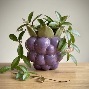 May include: A glossy purple ceramic planter shaped like a cluster of berries with a light green leaf-shaped rim. A trailing green Hoya plant with pointed leaves and a small cluster of pale pink star-shaped flowers grows out of the top of the planter.