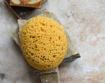 Sponge | Sea Sponge | Natural Sponge | Soft Sponge | Loofah Sponge | Pamper Gift | Homemade Spa | Body Sponge | N.A Wild Touch | Cyprus