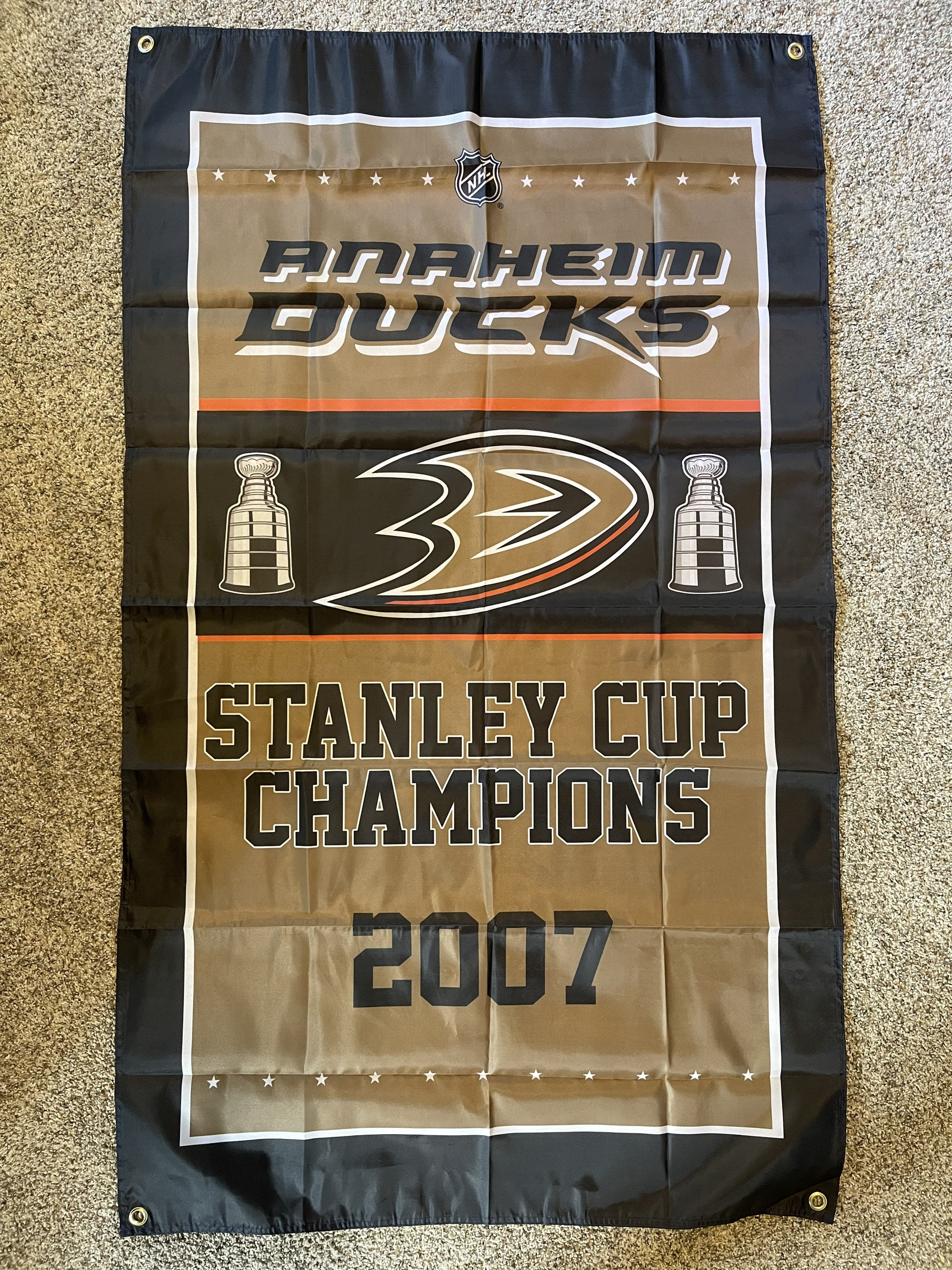 Anaheim Ducks Hockey Poster, Anaheim Ducks in front of skyline