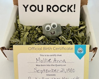 Rock Buddy (SMILEY GIRL), Rock Buddies, Funny Gift, Rock Friend, Anonymous Gift, Unique Present, Rock Pet, Novelty Gift, Funny Mail, Teacher