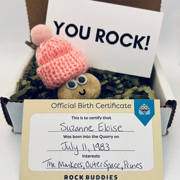 Rock Buddy (WINTER HAT), Sent In A Box, You Rock Card, Rock Buddies, Funny Gift, New Year Gift, Anonymous, Rock Pet, Rock Friend