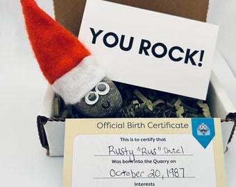 Rock Buddy (HOLIDAY HAT) Sent In A Box, You Rock Card, Rock Buddies, Christmas Gift, Elf Hat, Santa Hat, White Elephant Gift, Pet Fun