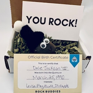 May include: A novelty gift set in a cardboard box. The set includes a decorated rock with googly eyes and a black heart, a card that says "YOU ROCK!", and a birth certificate for "Dale Jackson 'DJ'" with interests listed. The box is filled with green paper.