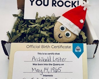 Rock Buddy (SNOWFLAKE HAT), Sent In A Box, You Rock Card, Rock Buddies, Funny Gift, Winter Gift, Anonymous, Rock Pet, Winter Hat