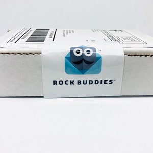 Rock Buddy BOY, Gag Gift, Rock Buddies, Funny Gift, Rock Pet, Anonymous Gift, Unique Present, Rock Pet, Novelty Gift, Gift For All, LOL image 8