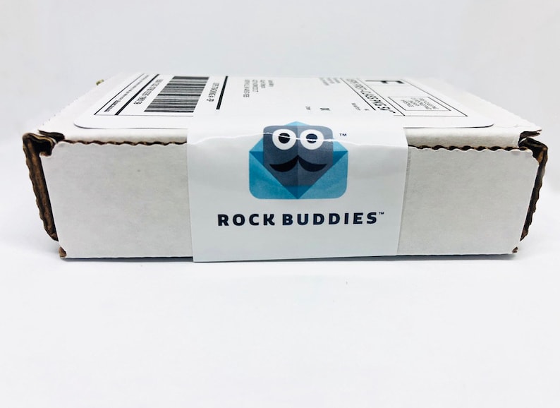Rock Buddy BOY, Gag Gift, Rock Buddies, Funny Gift, Rock Pet, Anonymous Gift, Unique Present, Rock Pet, Novelty Gift, Gift For All, LOL image 8