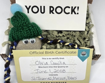 Rock Buddy (WINTER GIRL) Sent In A Box, Rock Buddies, Employee Appreciation Gift, Funny Birthday Gift, Rock Pet, You Rock Card