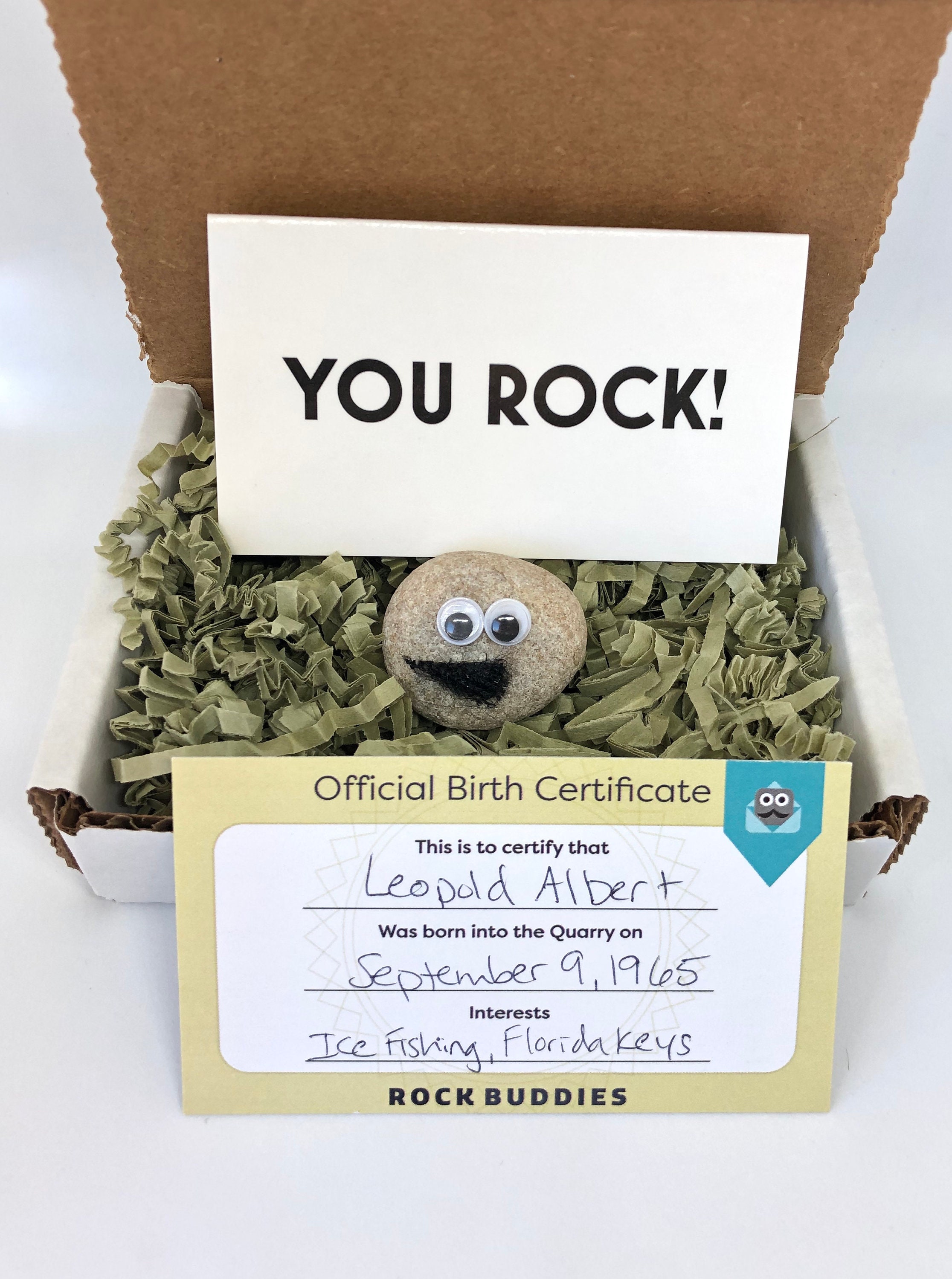 Pet Rock ® Funny Novelty Gift Ideas Ideal for Birthday Presents