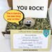 Rock Buddy (BOY), Gag Gift, Funny Gift, Sent In A Box, Rock Buddies, Funny Gift, Rock Friend, Anonymous Gift, Unique Present, Rock Pet 