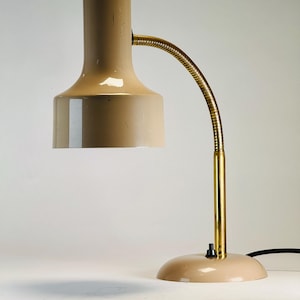 Vintage Gooseneck Desk Lamp | Brass & Enameled Metal | 1970&#39;s