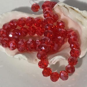 May include: A strand of vibrant red faceted crystal beads arranged in a coiled pattern, resting inside a pale, off-white seashell. The beads feature a multi-faceted surface that reflects light, creating a sparkling appearance against the smooth shell.