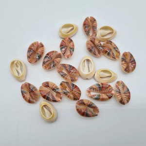 Peut inclure: Une collection de coquillages de cauris avec des rayures brunes, orange et blanches. Les coquillages sont disposés de manière aléatoire sur un fond blanc.