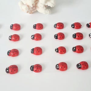 Wooden ladybugs, adhesive decoration