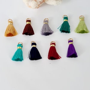 May include: Ten small tassels in various colors, including teal, purple, red, navy, green, brown, gray, and yellow. Each tassel has a gold loop at the top.