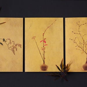 Golden Ikebana Greeting Card Set of 3 - Fine Art Photography- Botanical Postcard Set- Any Occasions-Luxury- Blank Inside