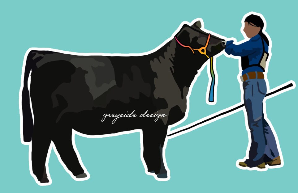 Pride Show Cattle Livestock Sticker Etsy