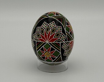 Chicken Shell Pysanka - Dark Blue Half Stars