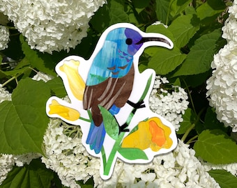 Palestina Sunbird Pegatina